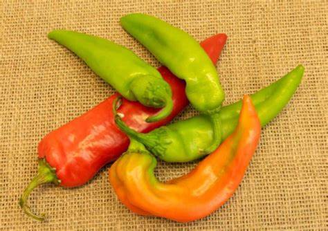 Anaheim Pepper (sold per each)