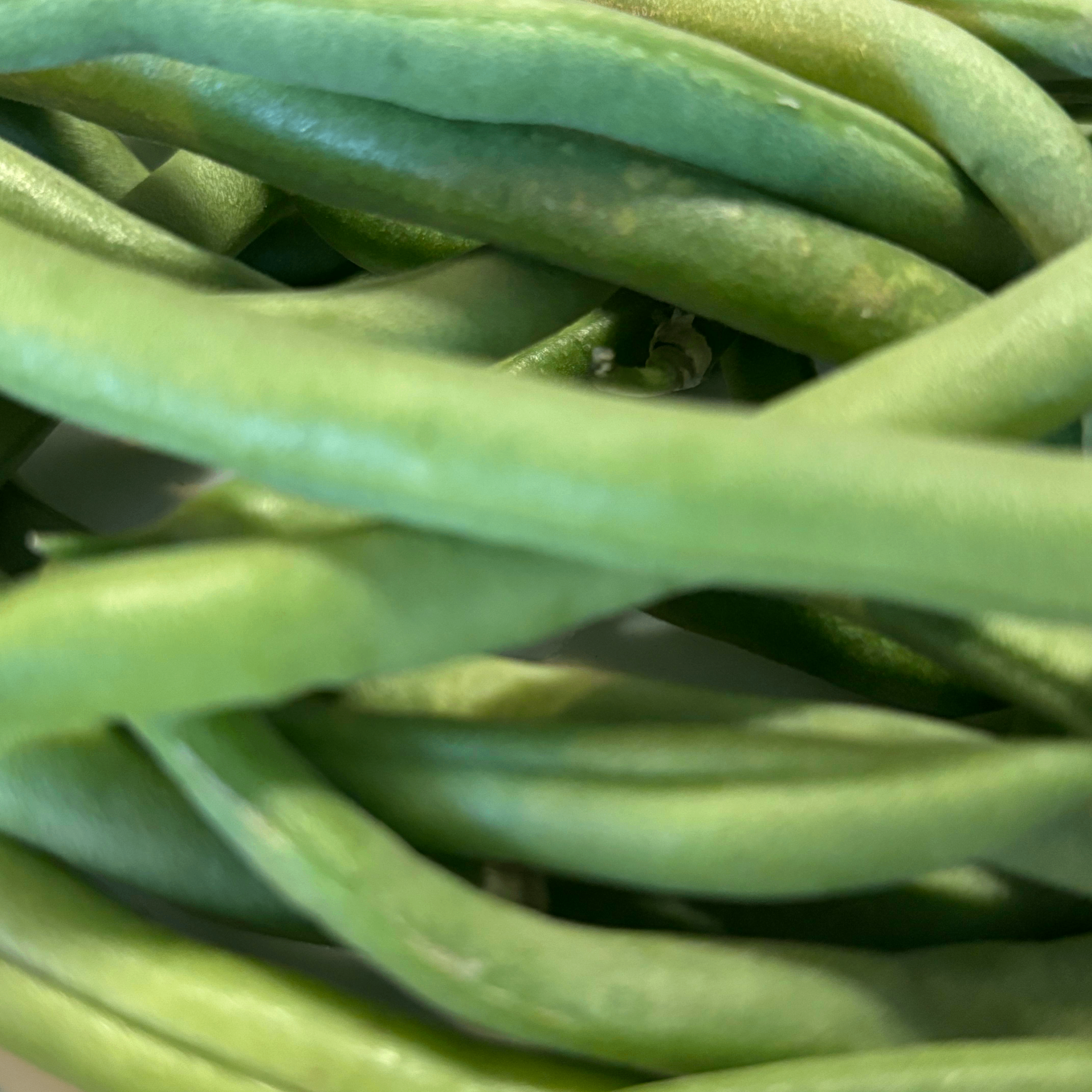 Green Beans (sold by the pound)