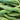 Green Beans (sold by the pound)