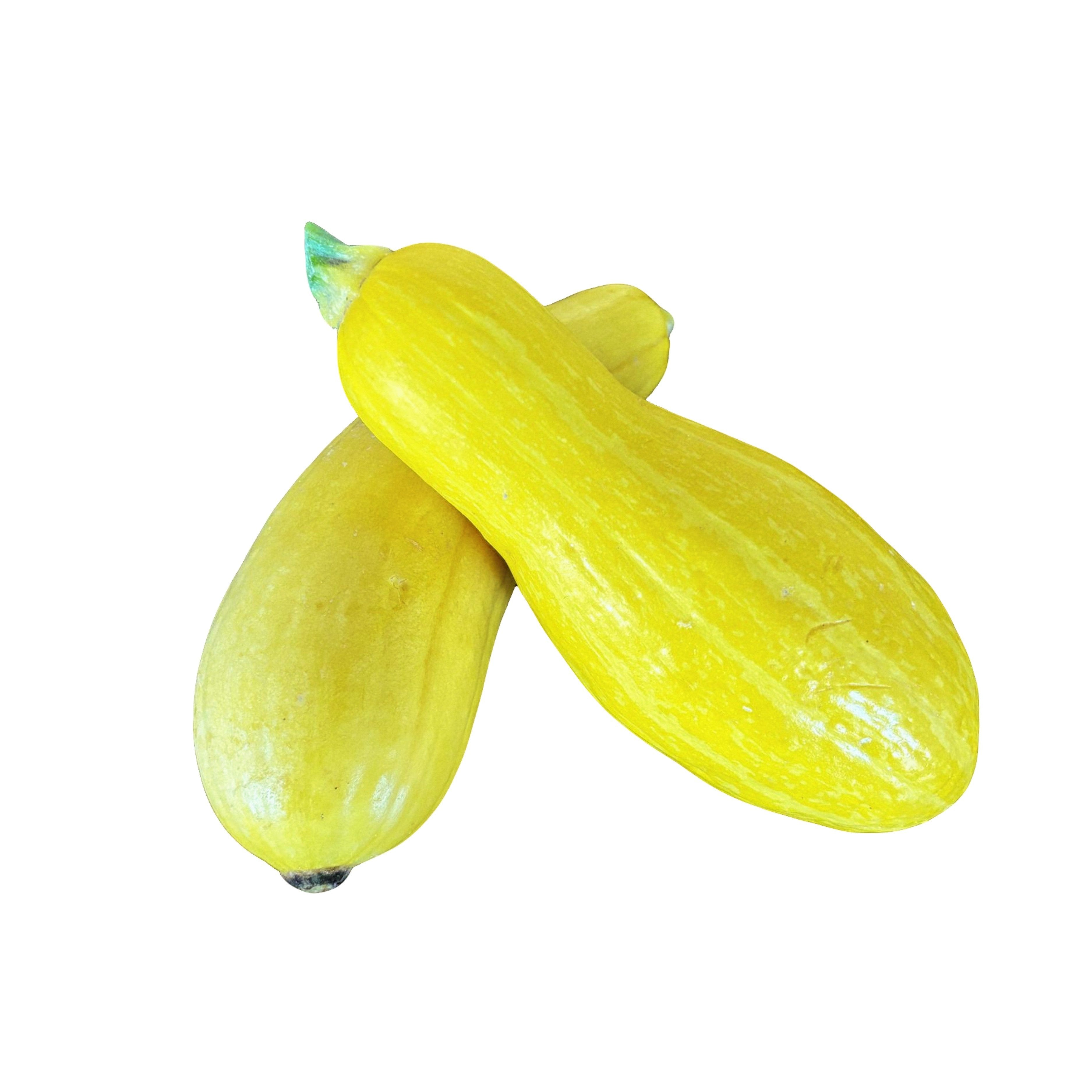 Yellow Squash (sold by the pound)