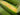Sweet Corn (sold by the each)