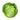 Cabbage
