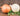Onions - Yellow & White (sold by the pound)